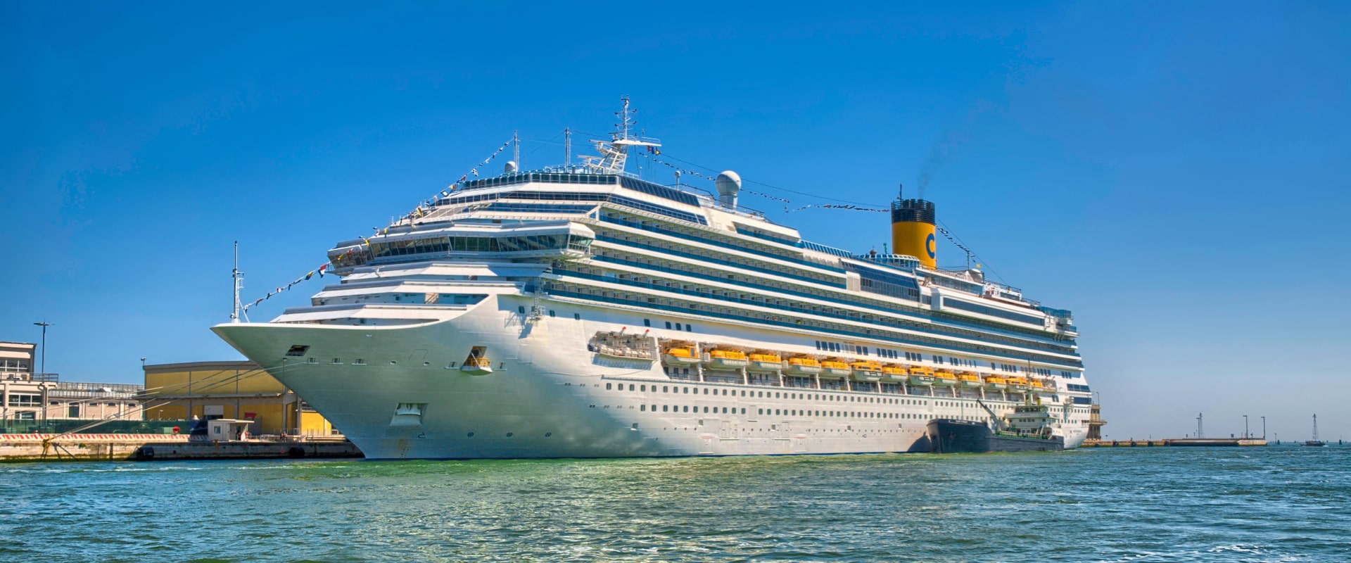Large cruise ship