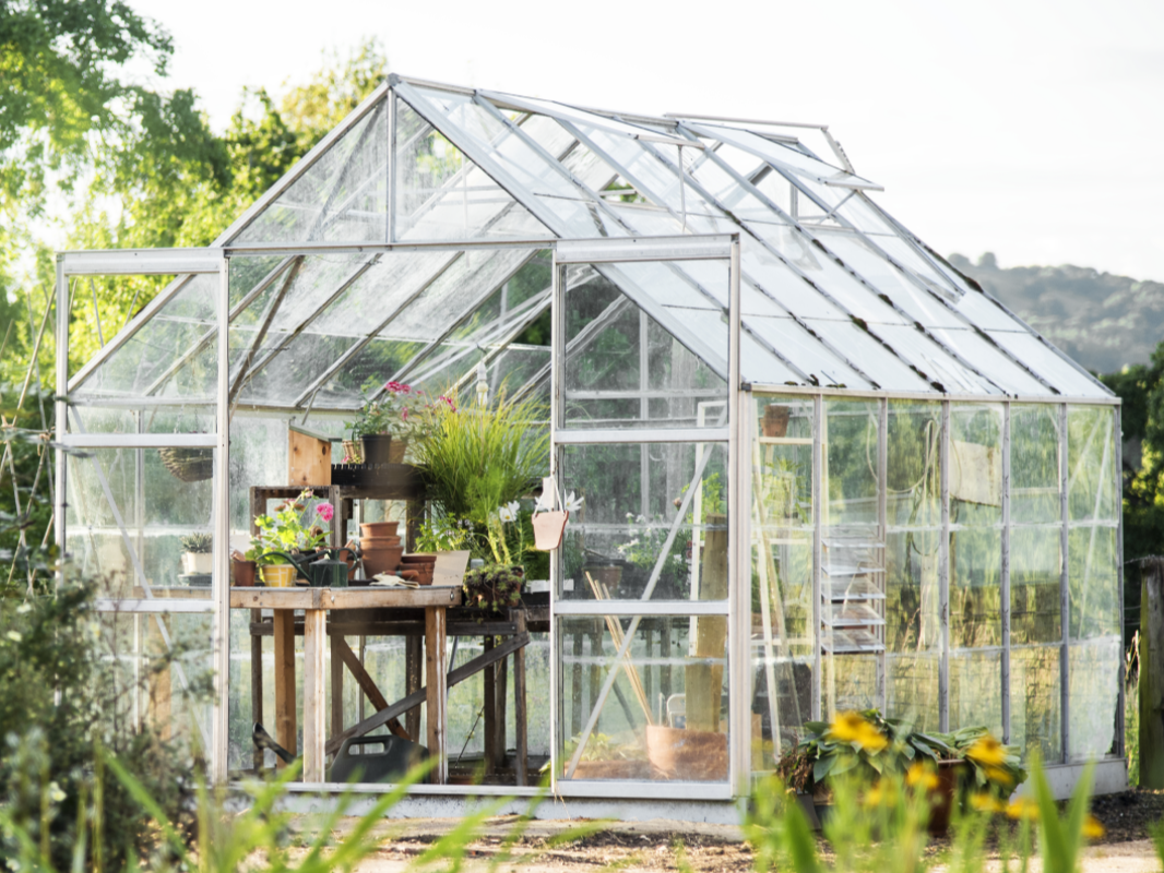 Crittall greenhouse with sponge rubber seal